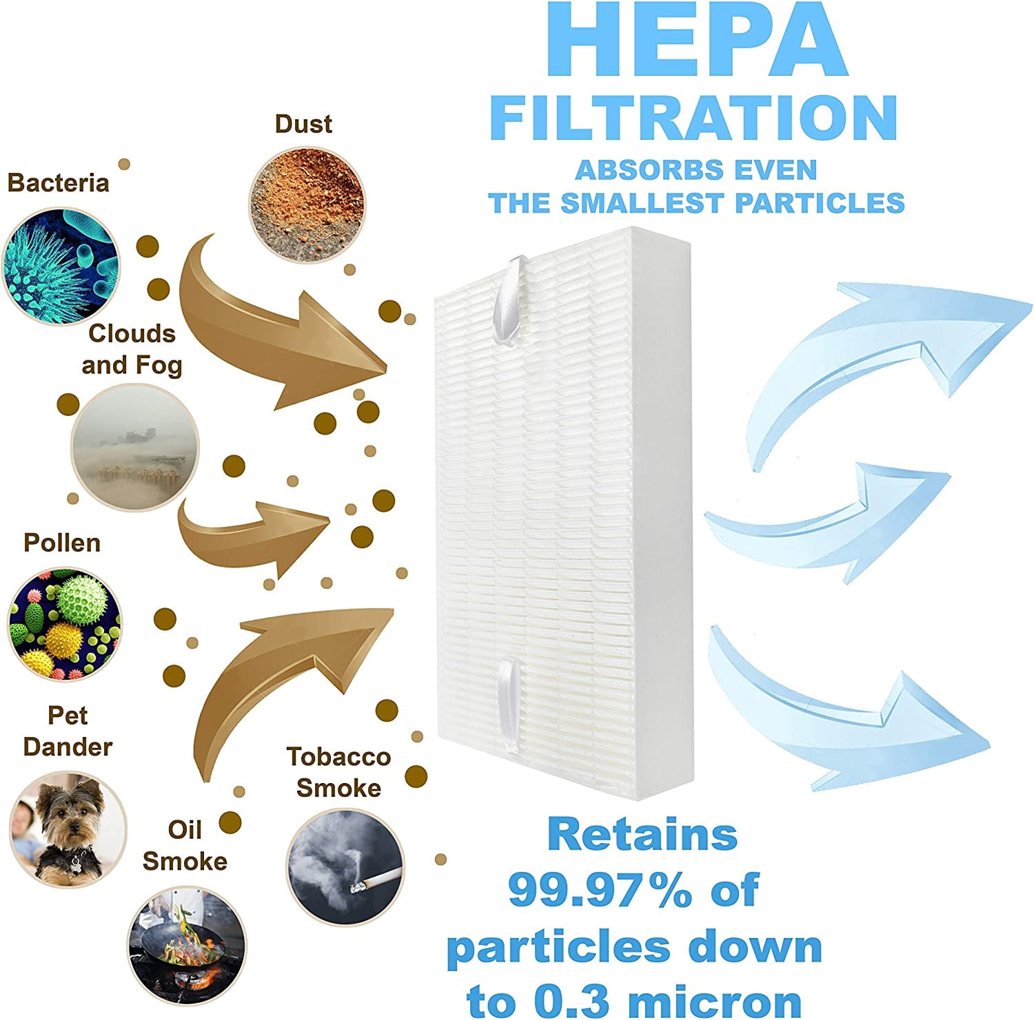 HQRP 2-Pack HEPA Filter Compatible with Honeywell Filter R HRF-R3 HRF-R2 HRF-R1 Replacement fits HPA090 HPA100 HPA200 HPA250 HPA300 HPA-090 HPA-100 HPA-200 HPA-250 HPA-300 models