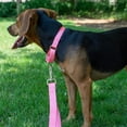 thumbnail image 2 of Country Brook Petz Martingale Dog Collar - Heavy-Duty Training Collar with No Buckle - Service Dog Collar for All Pups - Vibrant, Colorful Collection (Pink, 3/4 Inch, Small), 2 of 8