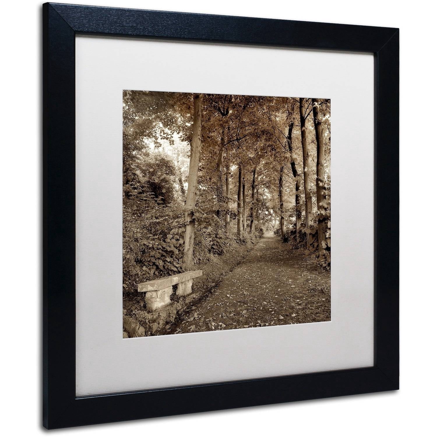 Trademark Fine Art "Fiesole Giardini II" Canvas Art by Alan Blaustein, White Matte, Black Frame