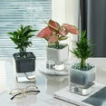 thumbnail image 1 of Maceta cuadrada transparente de autoriego | Jardinera automática de plástico absorbente de agua | Contenedor moderno interior para cactus de suculentas | Drenaje integrado | 1 pieza, 1 of 7