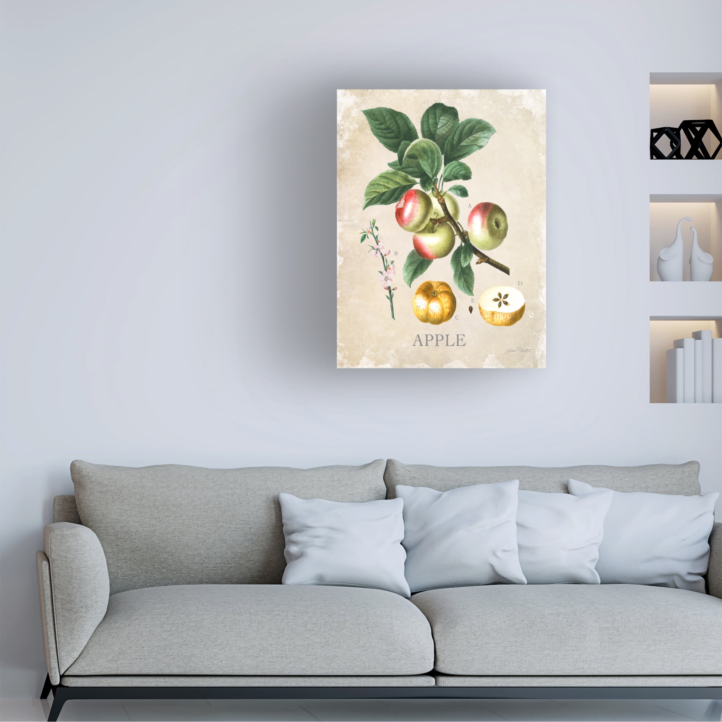 Canvas Wall Art - Jean Plout 'Luscious Fruit Study D' Wall Art for Living Room, Bedroom, or Office DÃ©cor by Trademark Fine Art - 14 x 19 Inches