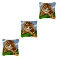 thumbnail image 2 of tssuouriy Beautiful Patterns And Relieve Stress With Hook Kits Simple Operation DIY BZ416 3Set, 2 of 6