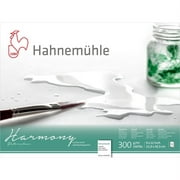 Harmny Wc Bl 140R 7X10 12Sh by Hahnemuehle