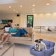 thumbnail image 4 of Asiento de automóvil Cama para perros Diseño multifuncional Sofá para mascotas para automóviles Hogar y todas las estaciones - Cinturón de seguridad resistente Bolsas de almacenamiento de material, 4 of 8