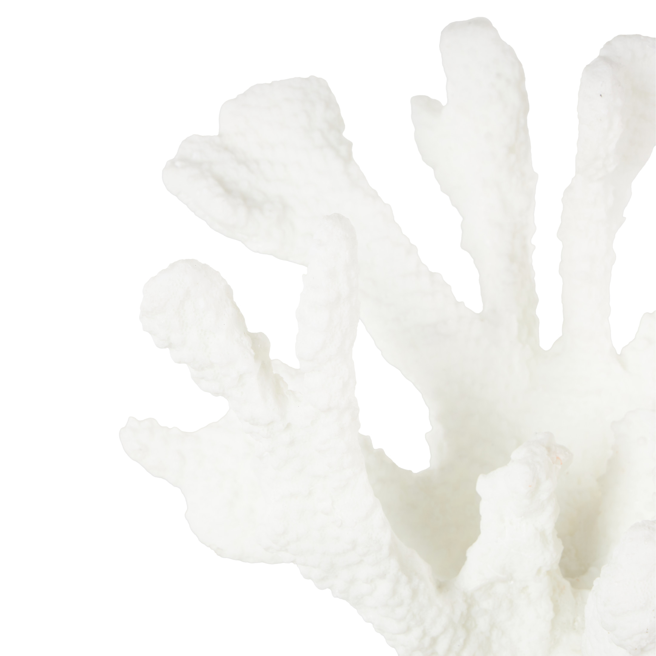 8" x 13" White Resin Textured Coral Sculpture with Round Copper Base, by DecMode