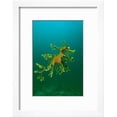 thumbnail image 2 of Leafy Seadragon an Example of Brilliant Camouflage, Animals World Culture Framed Art Print Wall Art Sold by Art.Com, 2 of 6
