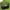 20 Gallon, variant on BGZLEU 128 Gallon Grow Bags, Thickened Nonwoven Plant Fabric Pots , Grow Pots, Plant Bags, Aeration Planting Bags, Fabric Planter Bags for Fruits, Vegetables and Flowers