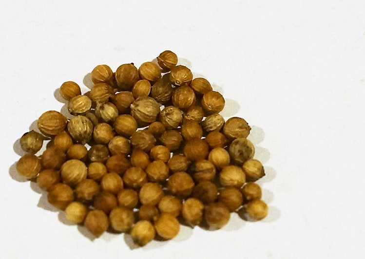 Coriander Seed Whole