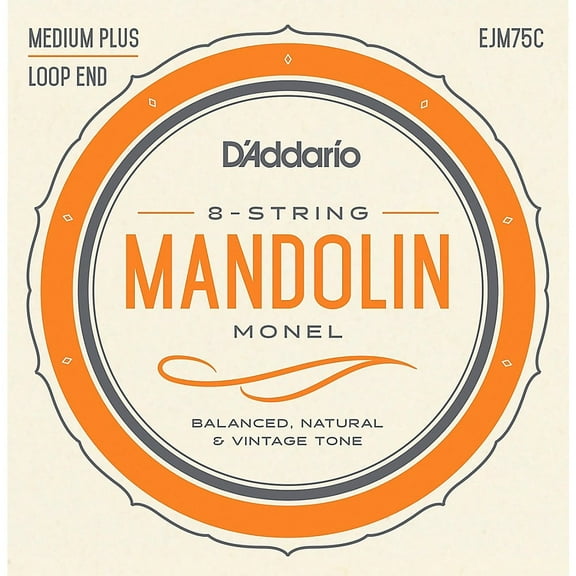 D'Addario Monel Mandolin Strings Medium Plus
