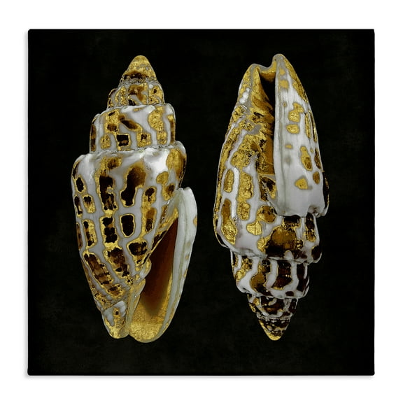 Stupell Industries Spotted Cowrie Shells Nautical & Beach Painting Wrapped Canvas Art Print Wall Art, 17 x 17