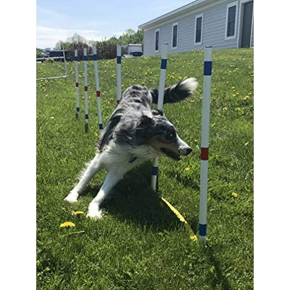 Set of 12 Weave Poles, Dog Agility Training Equipment for Dogs$$Garden & Patio