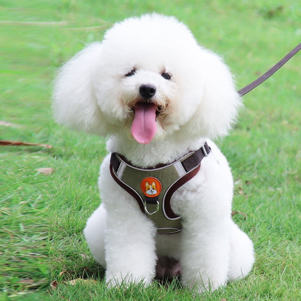 Puppy Harness with Tow Rope, Pet Chest Harness Vest for Little Dog and Cats
