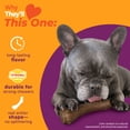 thumbnail image 4 of Nylabone Strong Chew Antler Dog Toy, Dog Chew Toy, Made with Real Venison Flavor, Medium, 1 Count, 4 of 12