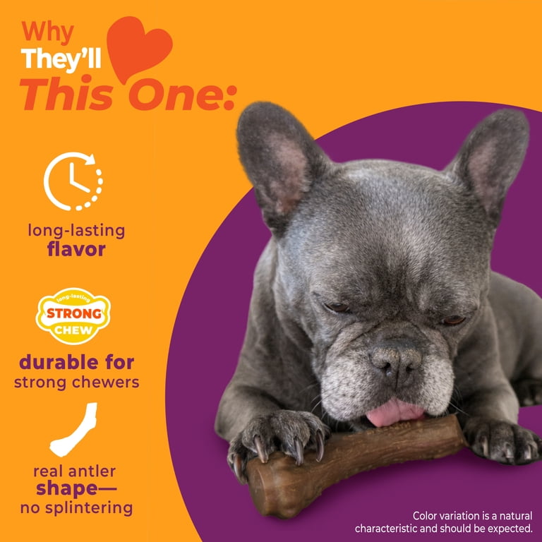 Nylabone Strong Chew Antler, Medium Venison photo 3
