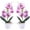 Purple, variant on 4Pcs Artificial Orchid Flowers Mini Potted Orchid Flowers Fake Orchids with Plastic Vase for Home Office Wedding Table Centerpiece Decoration(White,Yellow,Pink,Light Pink)