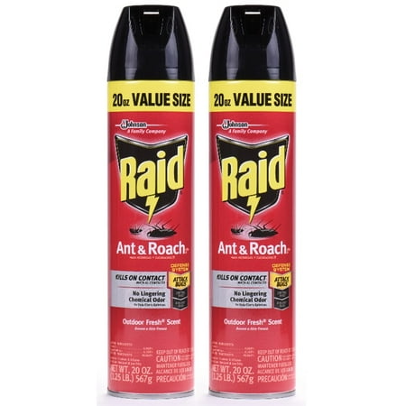- Raid Ant & Roach Killer 26, Outdoor Fresh Scent, 20 Ounces, 2 pack