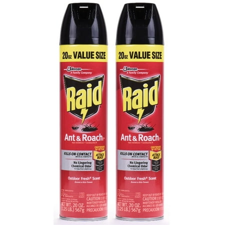 Raid Ant & Roach Killer 26, Outdoor Fresh Scent, 20 Ounces, 2