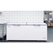 77 in. Commercial Chest Freezer 24 cu ft. SCF-24C