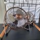 thumbnail image 3 of Ventilador de escritorio USB de 5,7 pulgadas, rotación de 360 ​​° pequeño y silencioso, potente flujo de aire portátil fuerte, Mini ventilador de refrigeración Personal de metal, 3 of 5