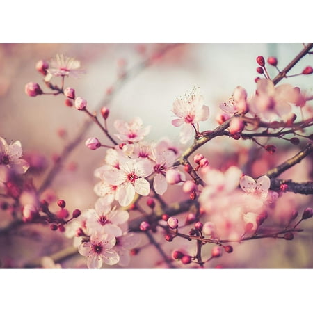 Decorator Spring Wound Wall - Cherry Spring Home Wall Decor Art Decorations Prints, Small Signs - 7.5x10.5