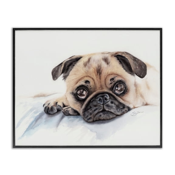 Innocent Pug Relaxing Black Framed Giclee Art, 14 x 11, Made In USA