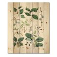 thumbnail image 3 of Designart 'Ancient Botanicals VIII' Traditional Print on Natural Pine Wood, 3 of 5