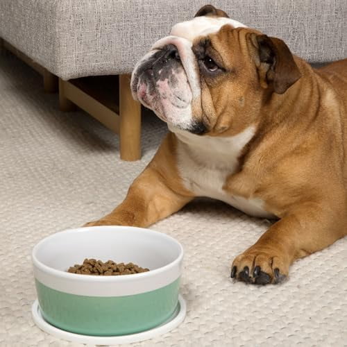 Dipper Ceramic Dog Bowl for Small and Large Breeds - Heavyweight and Durable Pet Food and Water Dish Crock, Dishwasher Safe, Modern (Mint, Medium)