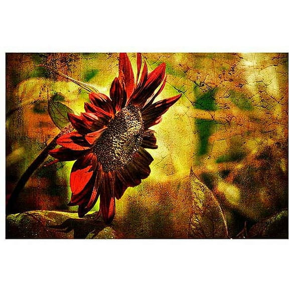 Trademark Fine Art "Sunflower" Canvas Art by Lois Bryan