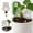 Clear, variant on Frog Shaped Self Watering Spike Automatic Watering Stake Cute Irrigation Device For Indoor Outdoor Potted Plants Garden(Pink-10.2X18.5Cm)