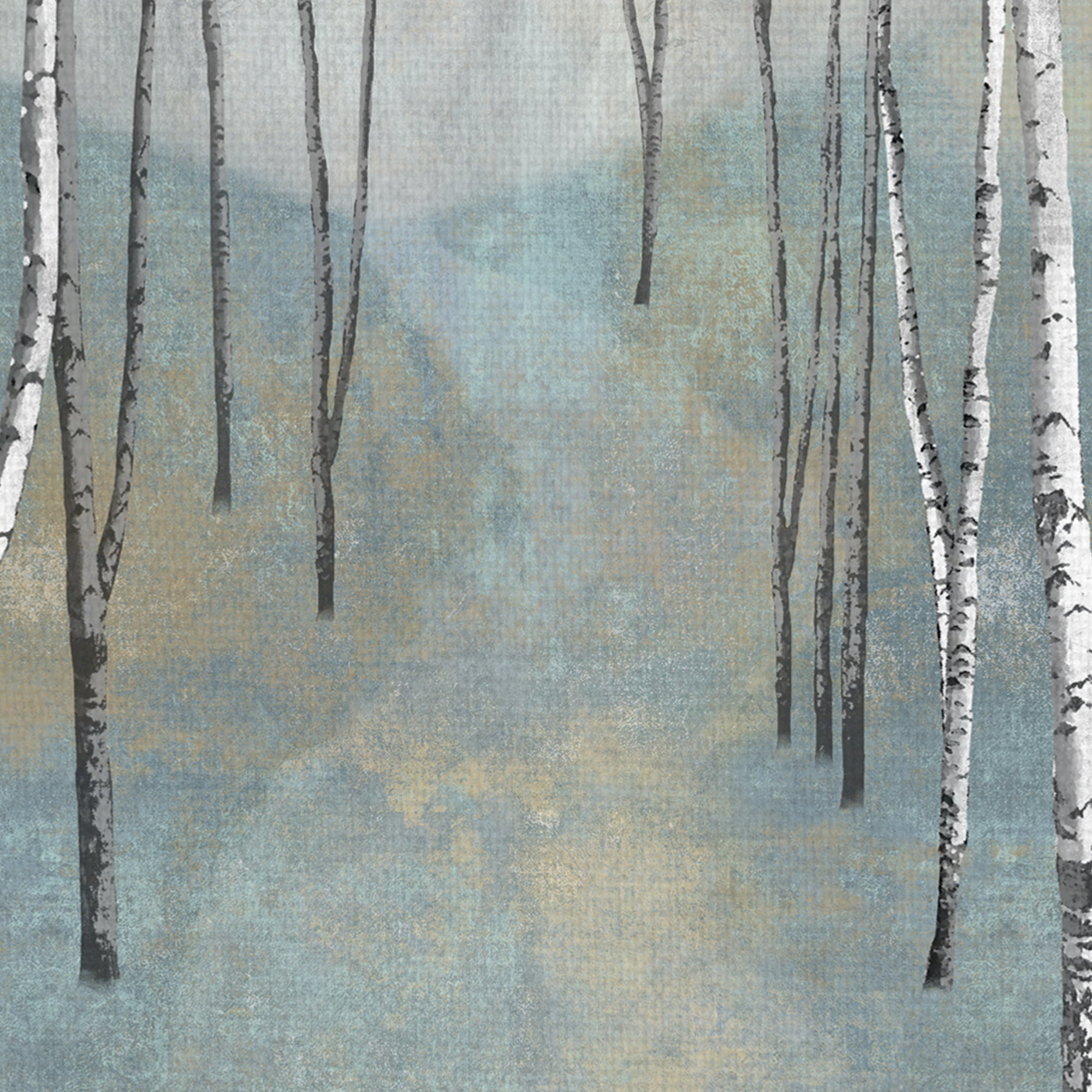 Silver Trees Path I by Tania Bello Birch Trees Canvas Art