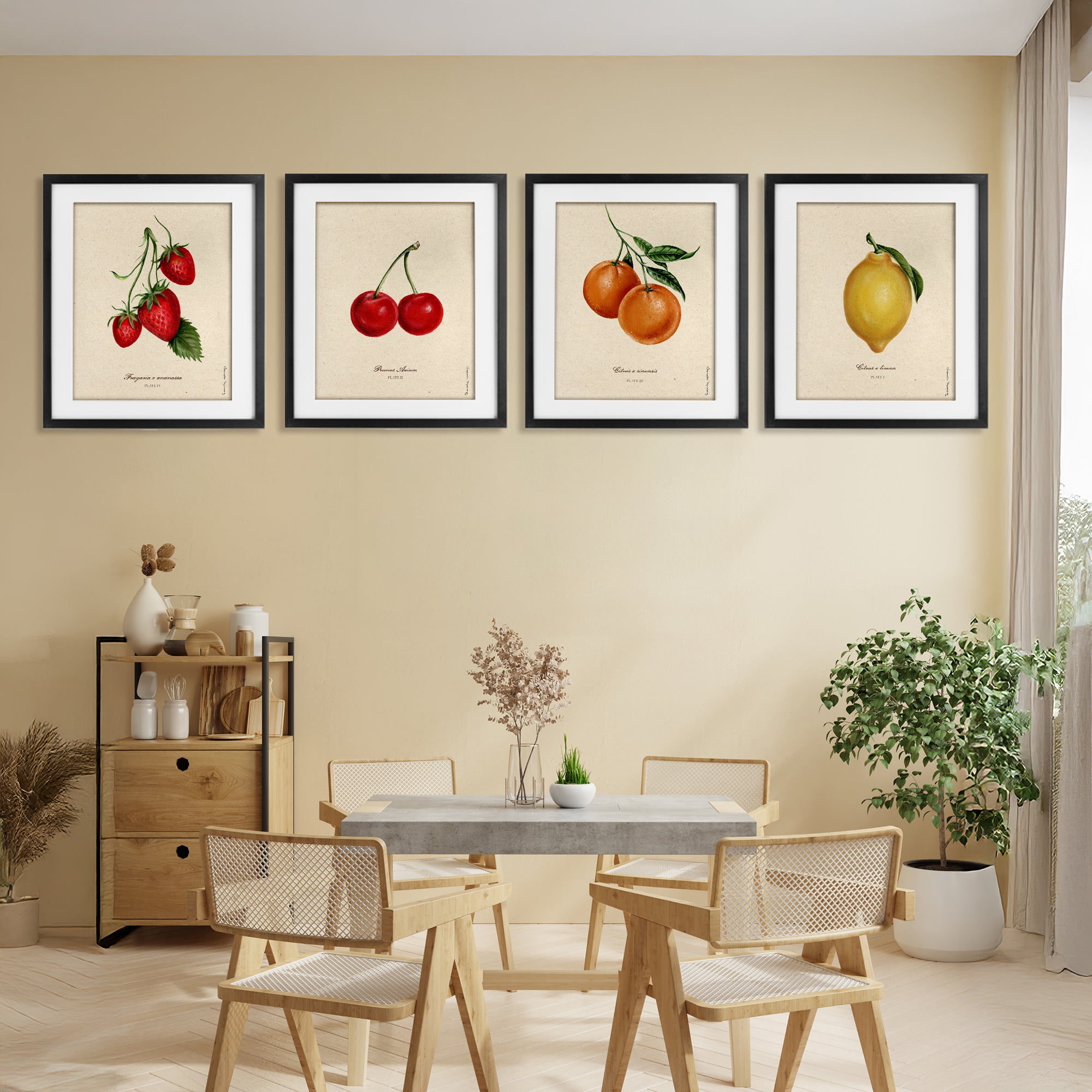 Stupell Industries Vintage Fruit Portraits 4 Piece Black Framed Print Under Glass Set, design by Danielle Murray