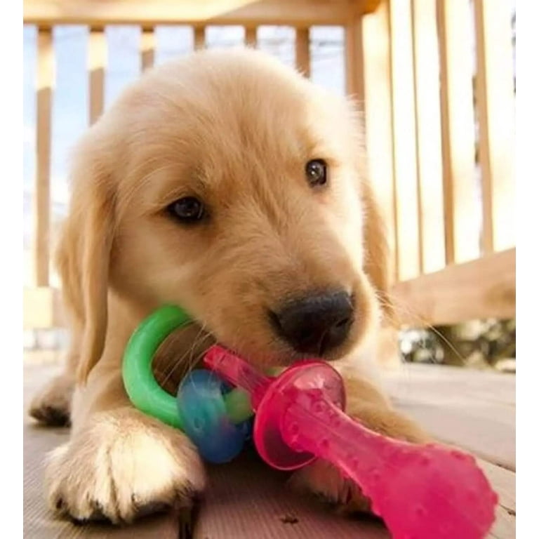 Nylabone pacifier cheap