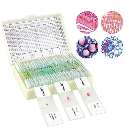 BEBANG 30 Microscope Slides with Specimens for Kids  Prepared Microscope Slides for Kids Microbiology  Glass Slides for Microscope  Biology Gifts for Adults Kids price history on PriceWatchPro