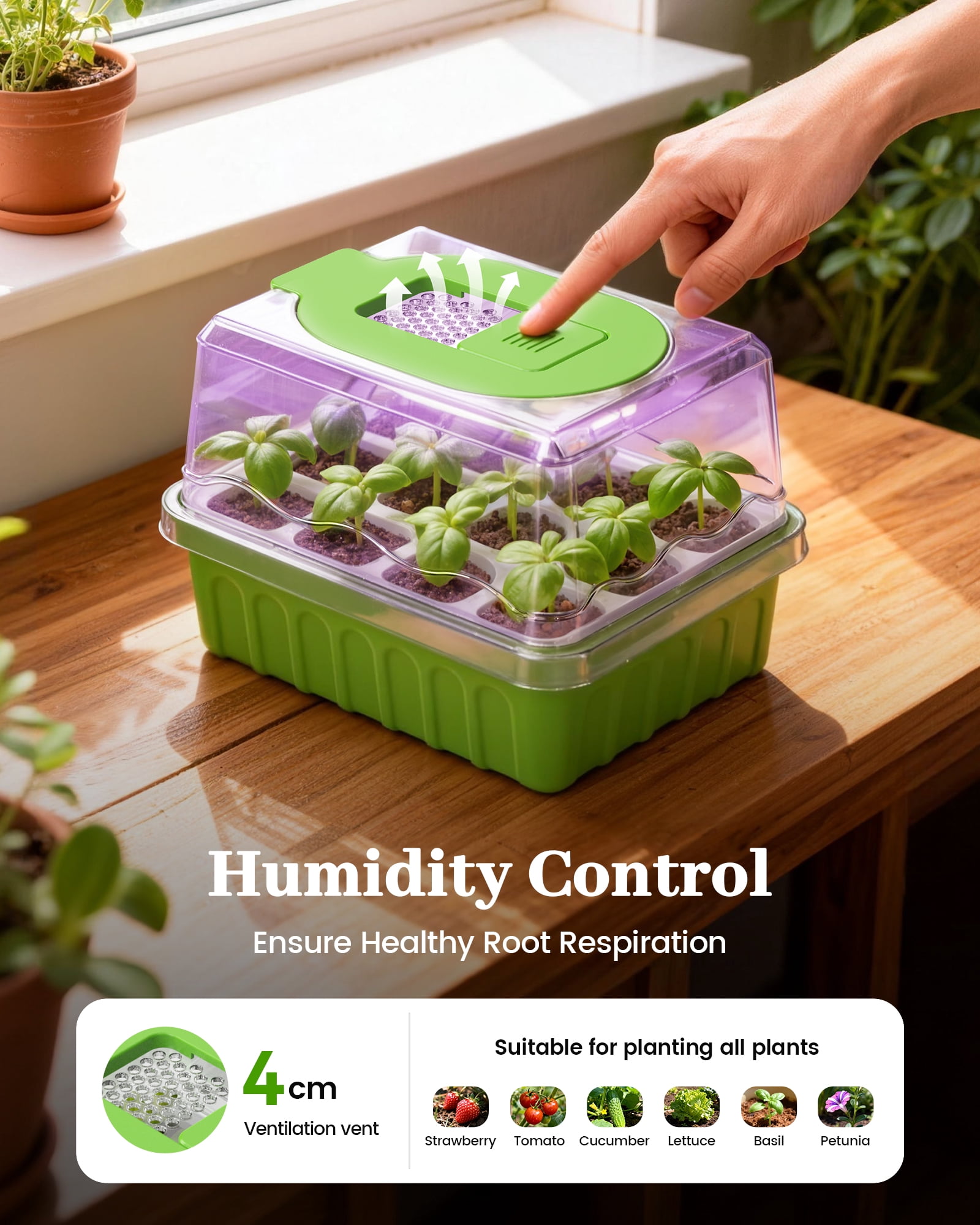 RainPoint 2PCS Seed Starting Tray with Grow Lights Humidity Dome – Reusable Germination Kit for Indoor Gardening, 12-Cell Plant Starter Tray with High-Transparency Cover & Easy Transplant Design