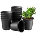 thumbnail image 3 of 12pcs Plastic Succulent Pots Small Flower Pots Indoor Succulent Planters with Drainage Holes, 3 of 6