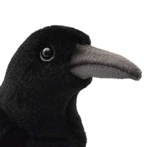 crow plush