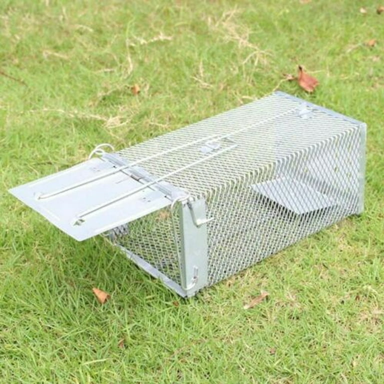 2 Type Humane Rat Trap, Chipmunk Rodent Trap That Work For Indoor And  Outdoor Small Animal - Mouse Voles Hamsters Live Cage Catch And Release