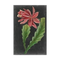 Trademark Fine Art 'Dramatic Tropicals I' Canvas Art by Vision Studio