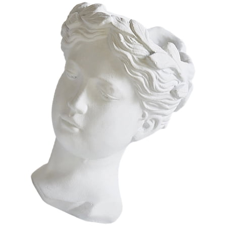 LOLIPPYY Resin Face Planter Pot, Decorative Indoor Plant Holder, Unique Decor, 1 Piece