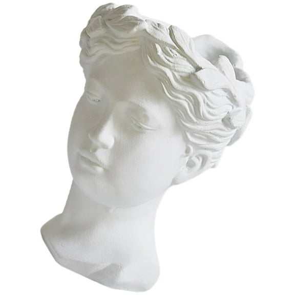 LOLIPPYY Resin Face Planter Pot, Decorative Indoor Plant Holder, Unique Decor, 1 Piece