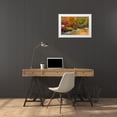 thumbnail image 3 of Jones, Allison 24x17 White Modern Wood Framed Museum Art Print Titled - USA-Vermont-Stowe-red mill on Little River as it flows south of Stowe to Winooski River-fall foliage, 3 of 4