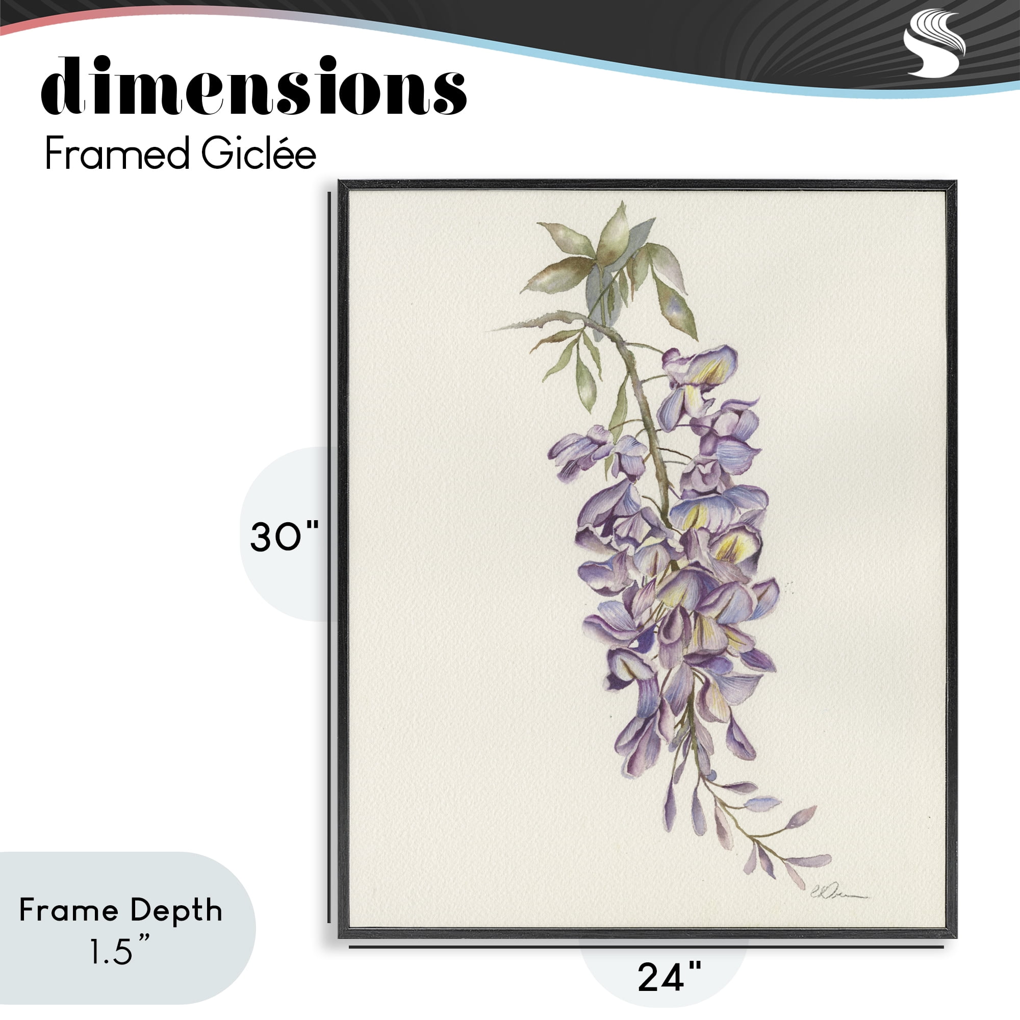 Stupell Industries Delicate Hyacinths Study Black Framed Giclee Art, design by Cady Driver