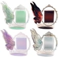 thumbnail image 4 of YAOMOBB Acrylic Photo Frame Creative Rotatable Acrylic Photo Frame Standee Ornament for Desktop Display, 4 of 7