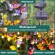 thumbnail image 4 of (Paquete de 2) luces solares para jardín: la más nueva luz de mariposa oscilante, luces solares para exteriores, alambre de hierro de alta flexibilidad y mariposas realistas, 4 of 5