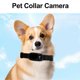 thumbnail image 1 of Pet Collar Camera High Definition Portable Dog Tracker Collar Camera Action Sport Dog Cam Cat Video Camera Black, 1 of 1