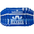 thumbnail image 1 of Packs de Hielo Reutilizables Below Zero para Conservadoras 7.5x6.5 cm (Paquete de 10), 1 of 7