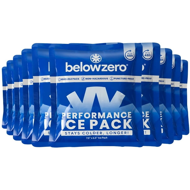 Packs de Hielo Reutilizables Below Zero para Conservadoras 7.5x6.5 cm (Paquete de 10)