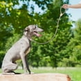 thumbnail image 5 of Minkissy 1Set Nylon Green Dog Leash for Medium Dogs Hands Free Adjustable Length Ergonomic Hand Control, 5 of 5