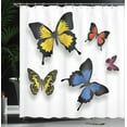 thumbnail image 3 of Ambesonne Butterfly Shower Curtain, Nature Moths Wings, 69"Wx70"L, Multicolor, 3 of 4