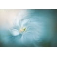 thumbnail image 2 of Parker, Jacky 32x23 White Modern Wood Framed Museum Art Print Titled - Floral Ballet, 2 of 4
